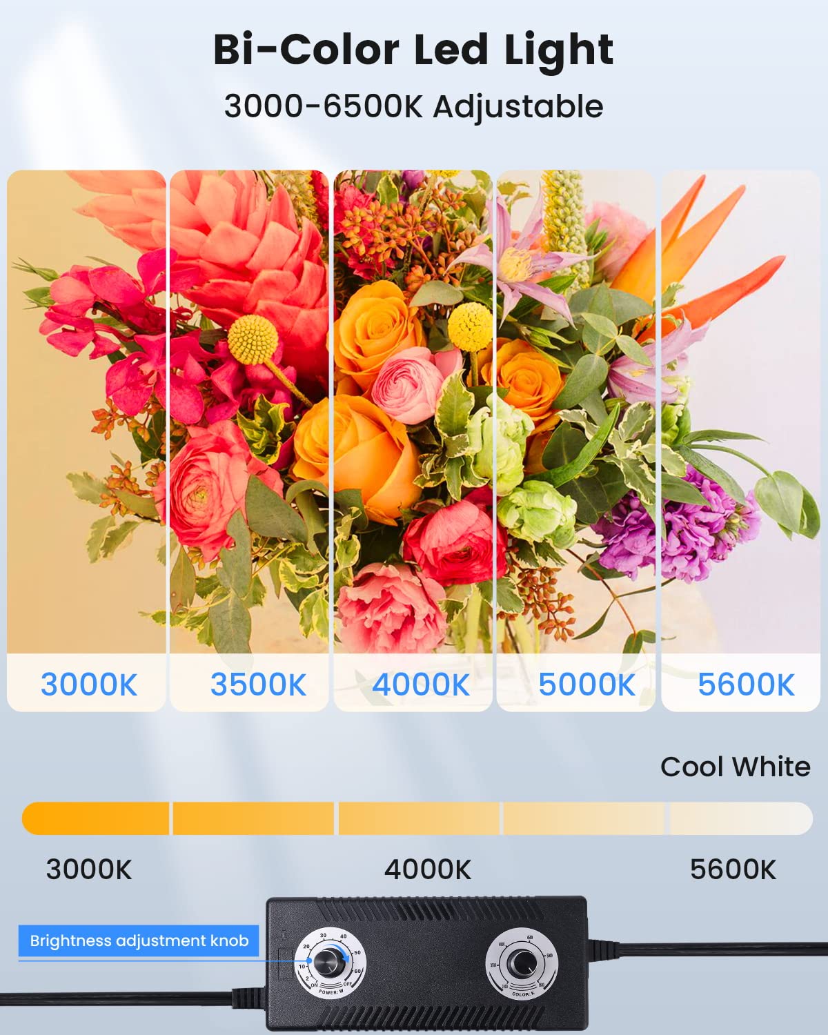 Fasonic 24''X24'' Photo Studio Light Box For Photography, Foldable Bi Color Dimmable Shooting Tent Kit With 240 Led Lights, 3000