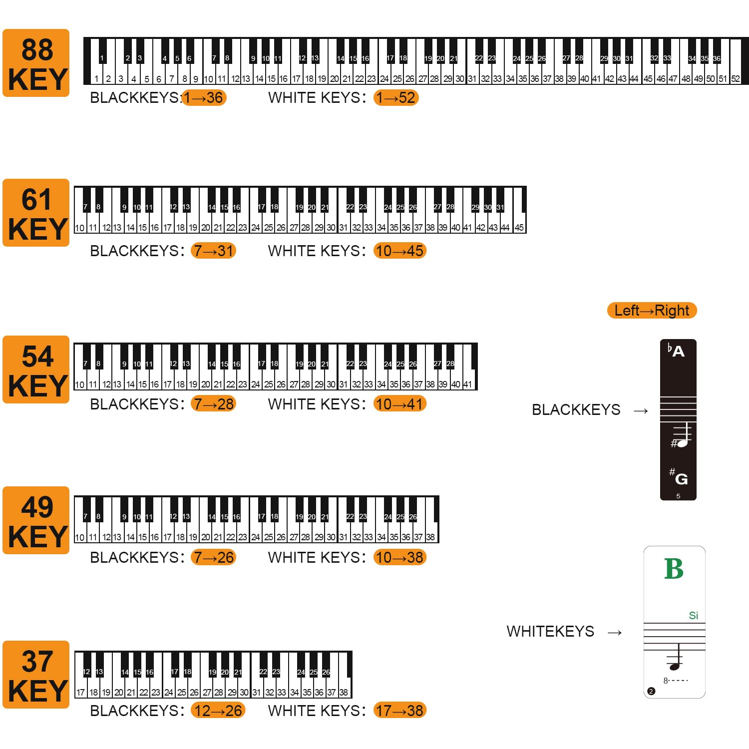 Piano Keyboard Stickers With Piano Chord Chart Poster, Removable Colorful Piano Keyboard Note Labels For 88/61/54/49 Key, Transp