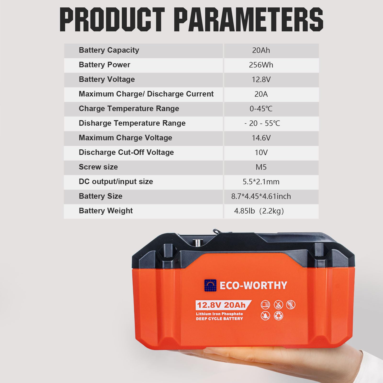 Eco-Worthy 2 Pack Portable 12V 20Ah Lifepo4 Battery, Lithium Deep Cycle Rechargeable Battery, Built-In Bms, 4000+ Cycles,Perfect