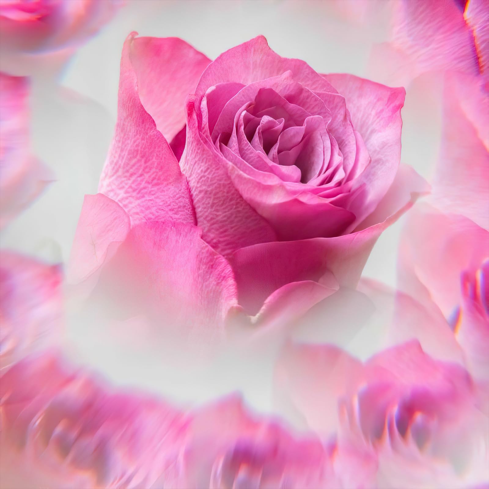 Kogjaers Kaleidoscope Prism 67Mm Camera Effect Filter Lens Fractal Filter With Fractal Refraction And Variable Number Of Shootin