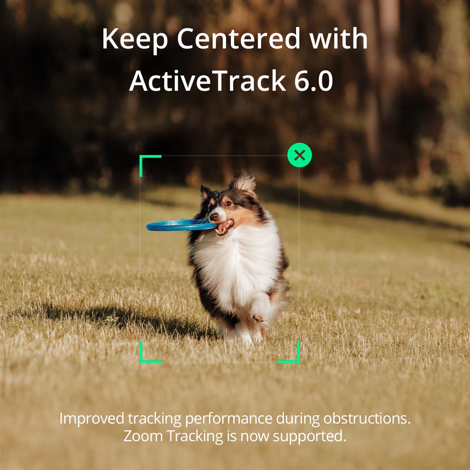 Dji Osmo Mobile Se Intelligent Gimbal, 3-Axis Phone Gimbal, Portable And Foldable, Android And Iphone Gimbal With Shotguides, Sm