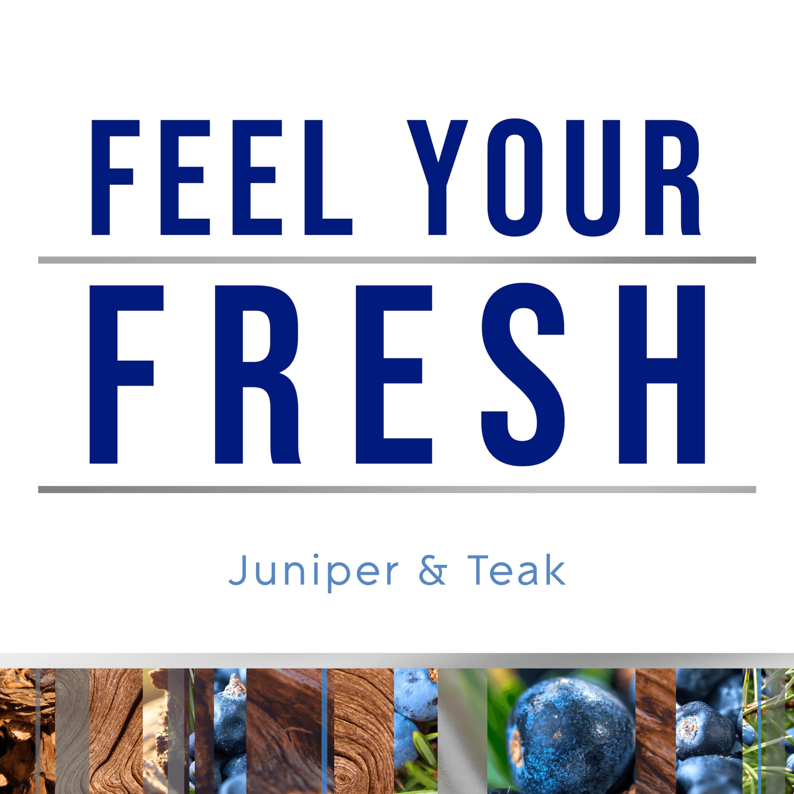 Glade Plugins Refills Air Freshener, Scented And Essential Oils For Home And Bathroom, Juniper & Teak, Fresh Collection 3.35 Fl