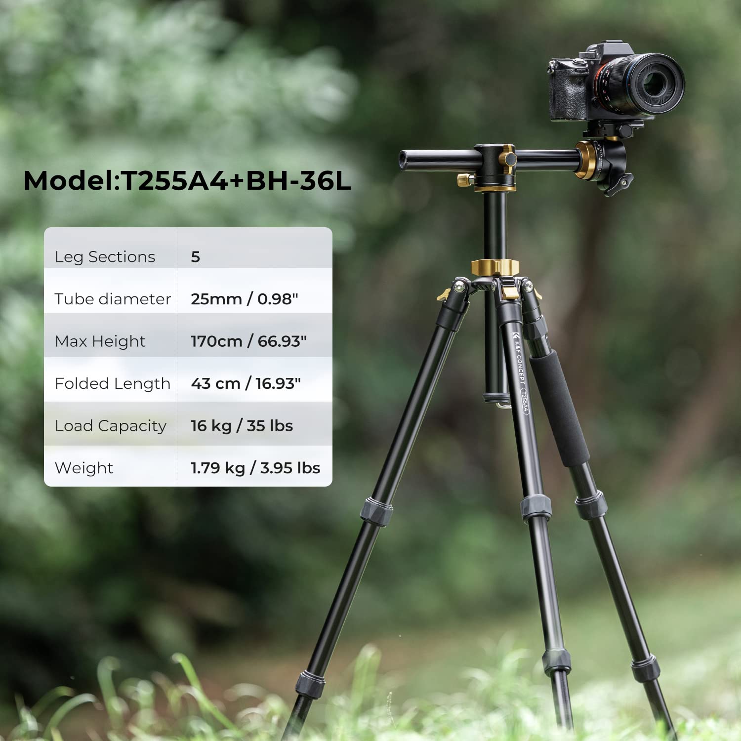 K&F Concept 67 Inch Camera Tripod Horizontal Aluminum Tripods Portable Monopod With 32Mm Ball Head 12Kg Load Capacity Quick Release Plate, For Travel And Work T255A4+Bh 32L(Golden)