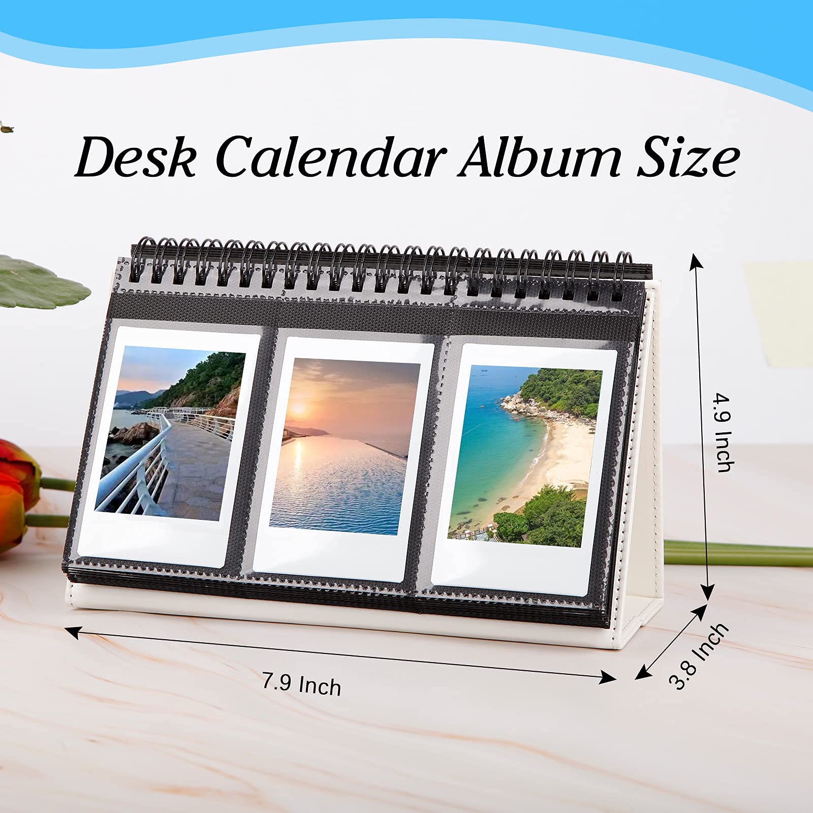 96 Pocket Desk Photo Album For Fujifilm Instax Mini 12/11/9/99/8/7S/40/Evo Instant Cameras,Fits Polaroid Pic   300P/Z2300/Lg Pd 233/Lg Pd 239 And 2X3 Inch Name Cards(White)