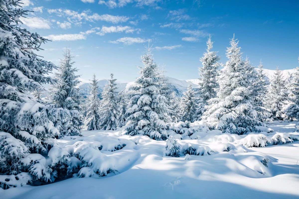 BELECO 9x6ft Fabric Winter Snow Forest Backdrop Frozen White Xmas Trees Wintry Scene Alps Photography Backdrop for Christmas New