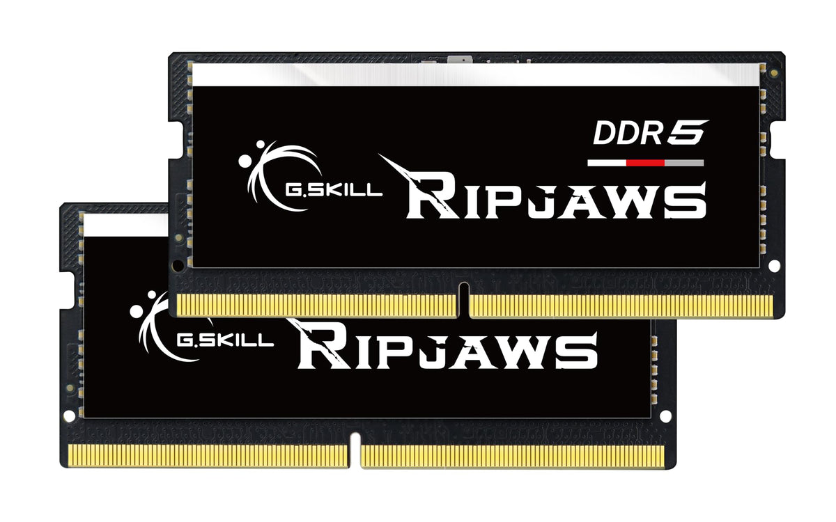 G.SKILL Ripjaws DDR5 SO-DIMM Series DDR5 RAM 64GB (2x32GB) 5600MT/s CL40-40-40-89 1.10V Unbuffered Non-ECC Notebook/Laptop Memory SODIMM (F5-5600S4040A32GX2-RS)