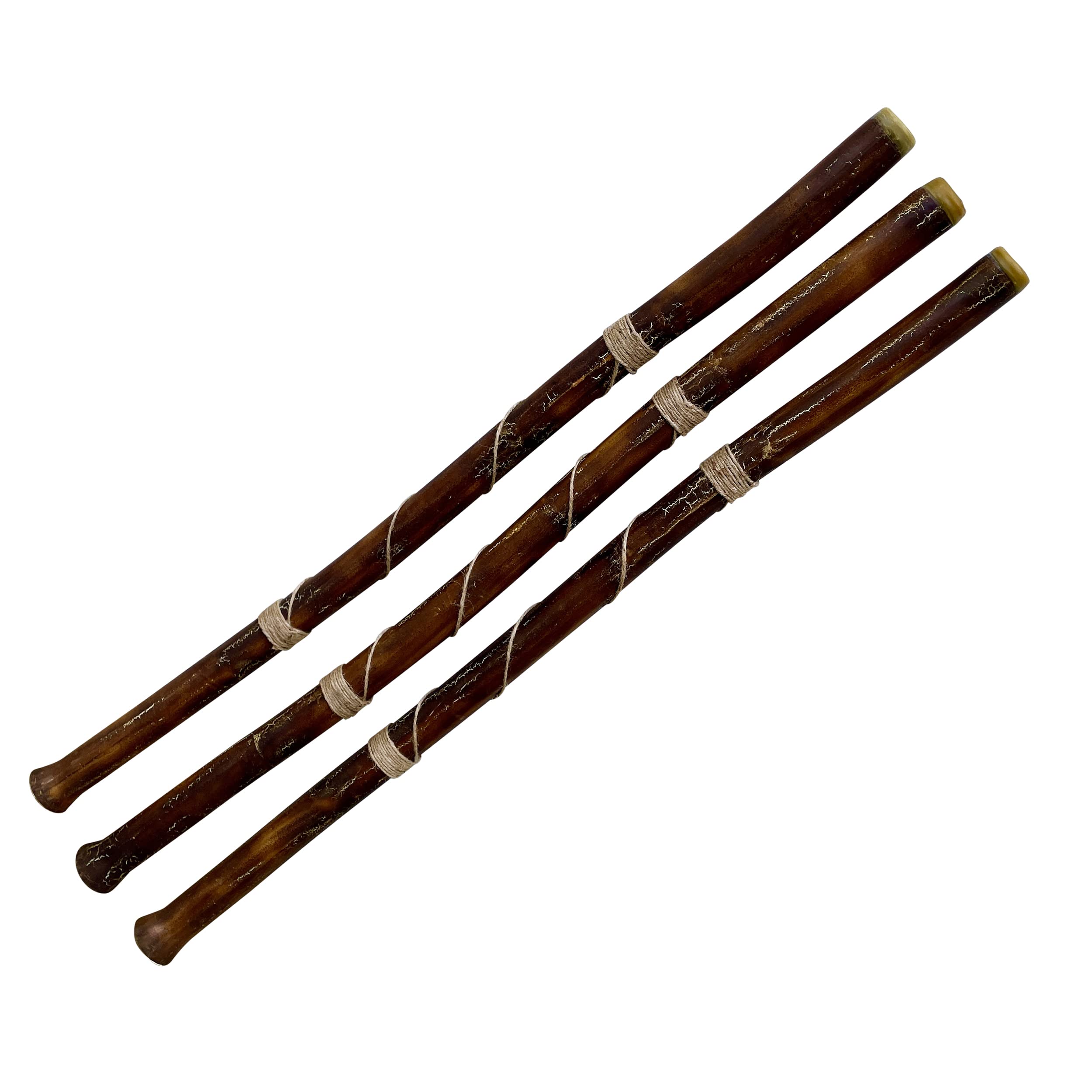 Hand Fired Modern Didgeridoo   Beeswax Mouthpiece   Easy Player!   Key Of D   By World Percussion Usa