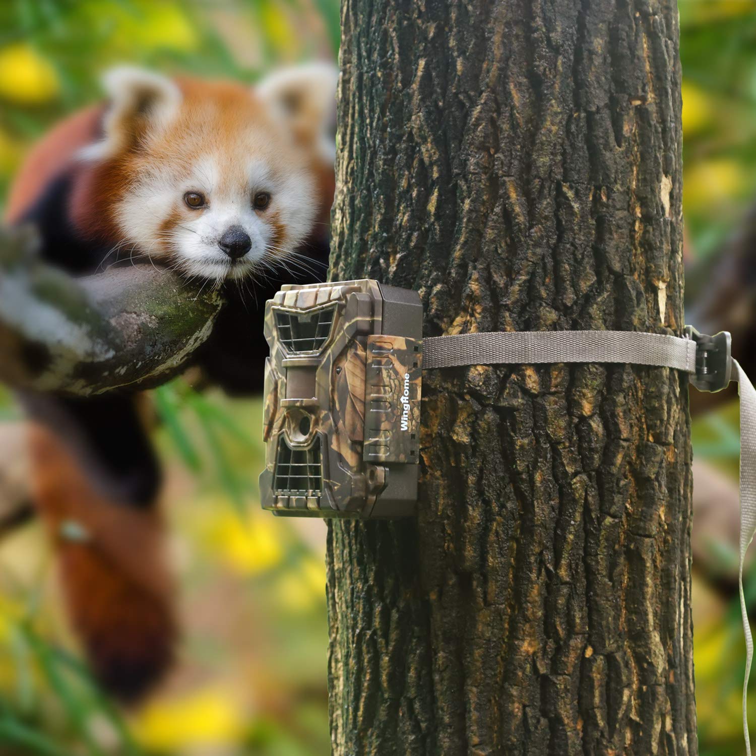 Wildlife Trail Camera Mounting Straps, Nylon Fiber Straps, Deer Camera Tree Belts Kit For Hunting Game Cameras Accessory(Dark Ol