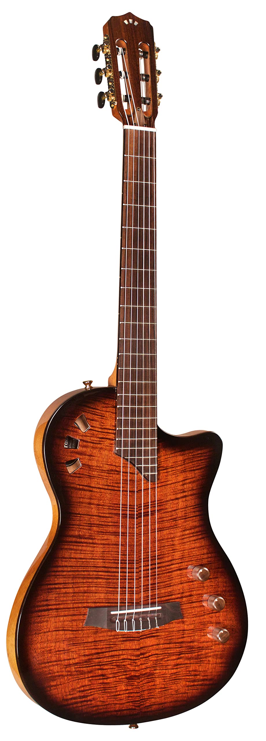 Cordoba Stage 6 String Electric Guitar For Live Performances & Studio Recording, Right Handed, Solid Spruce Top, Chambered Solid