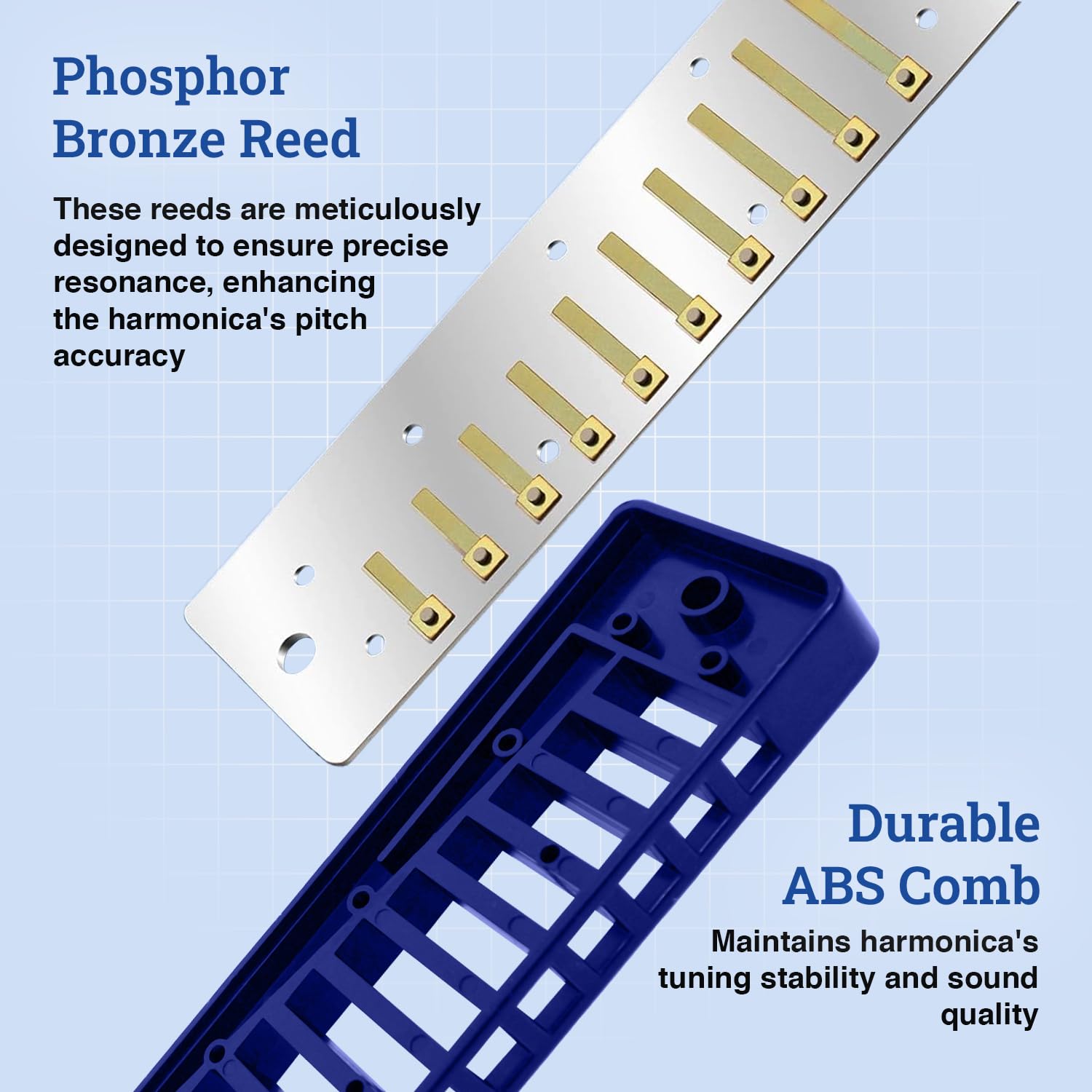 Harmo Polar Diatonic Harmonica Key Of A, Paddy Richter Tuning - Specialized For Irish, Bluegrass, Celtic, And Folk Music, Mouth
