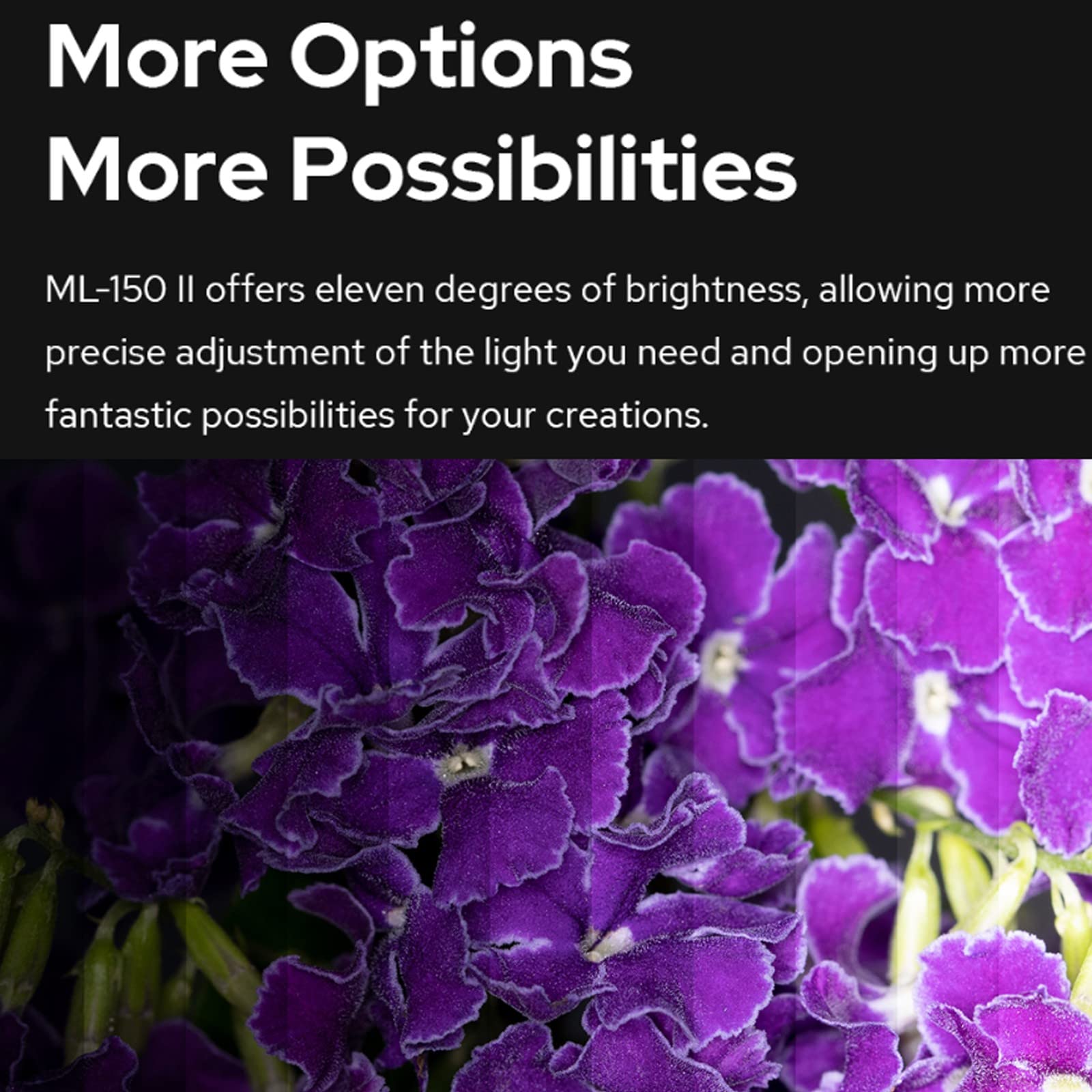 Godox Ml-150Ii Ml150Ii Macro Led Ring Flash Speedlite Gn12 0.1-2S Recycle Time 5800K200K For Sony Canon Nikon Fuji Olympus Panas