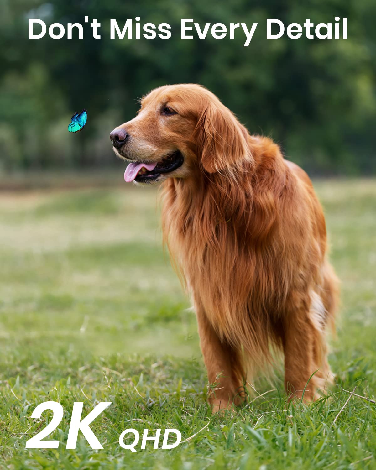 Aosu 2K Security Cameras Outdoor/Home, 360�Pan Tilt View Timed Cruise 2.4G Wifi Security Camera With Motion Tracking, Spotlight & Siren, 2 Way Audio, Full Color Night Vision, Waterproof