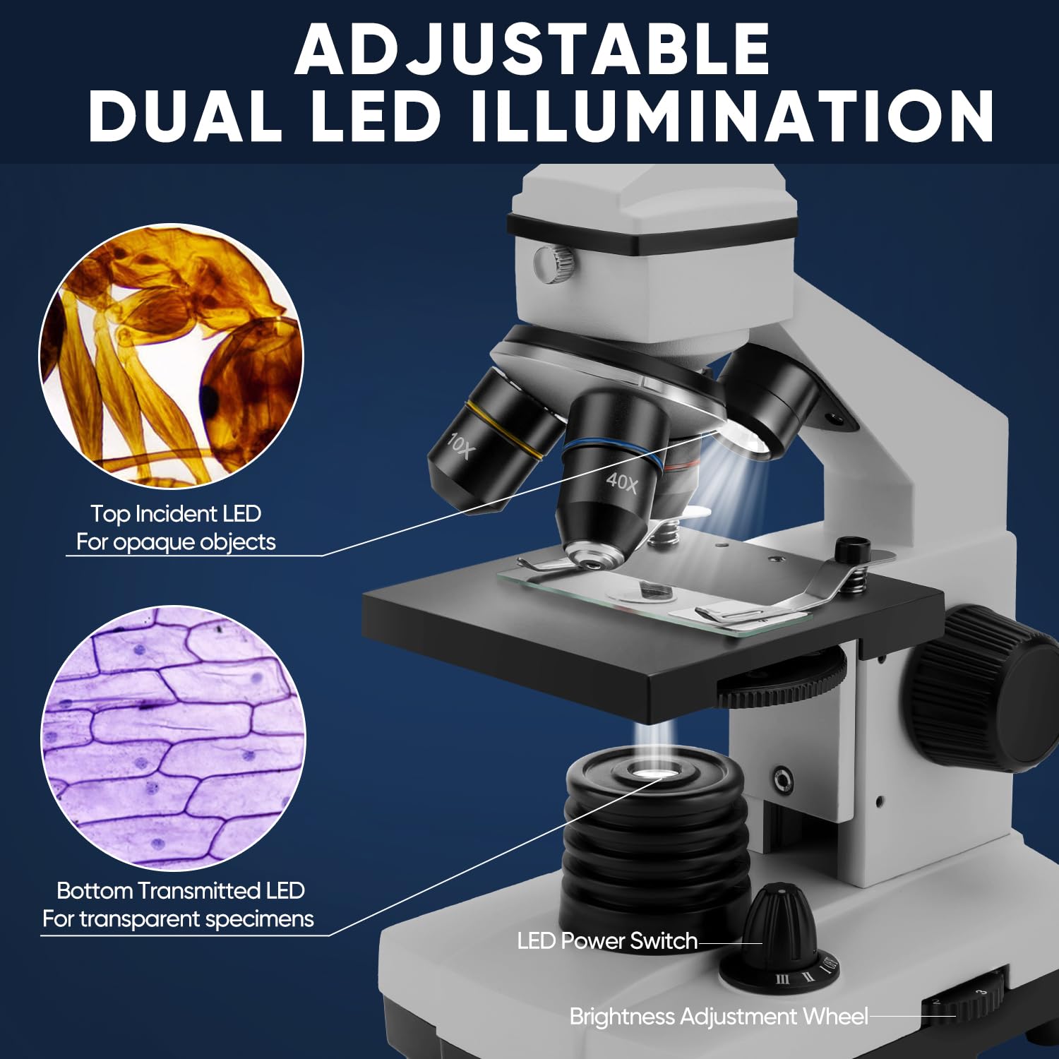 Microscope For Adults Kids, Dcorn 100X 2000X Powerful Biological Microscopes For School, Home, And Lab Use, Includes Microscope