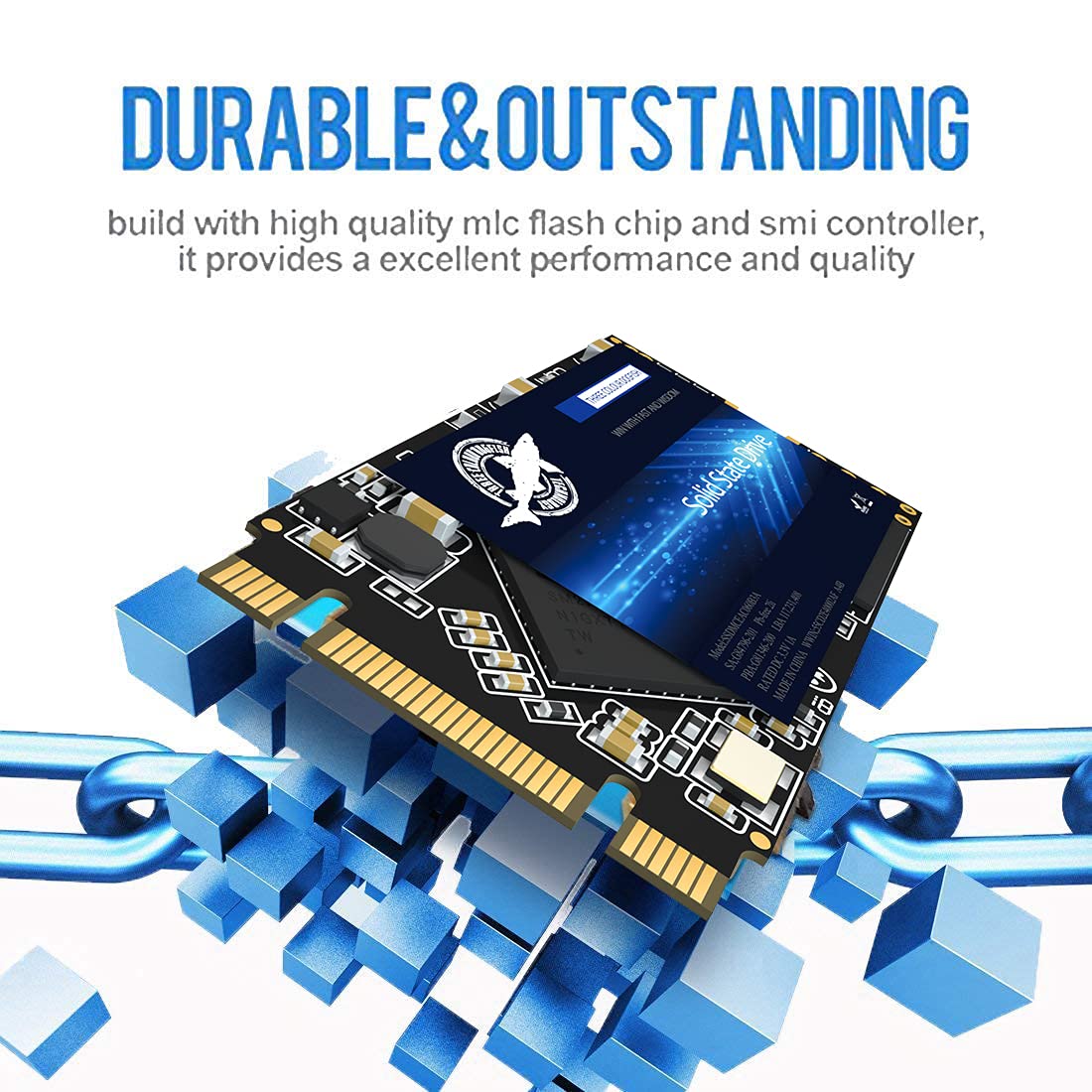 THREE COLOUR DOGFISH M.2 2242 Internal SSD 250GB SATA III 3D NAND TLC