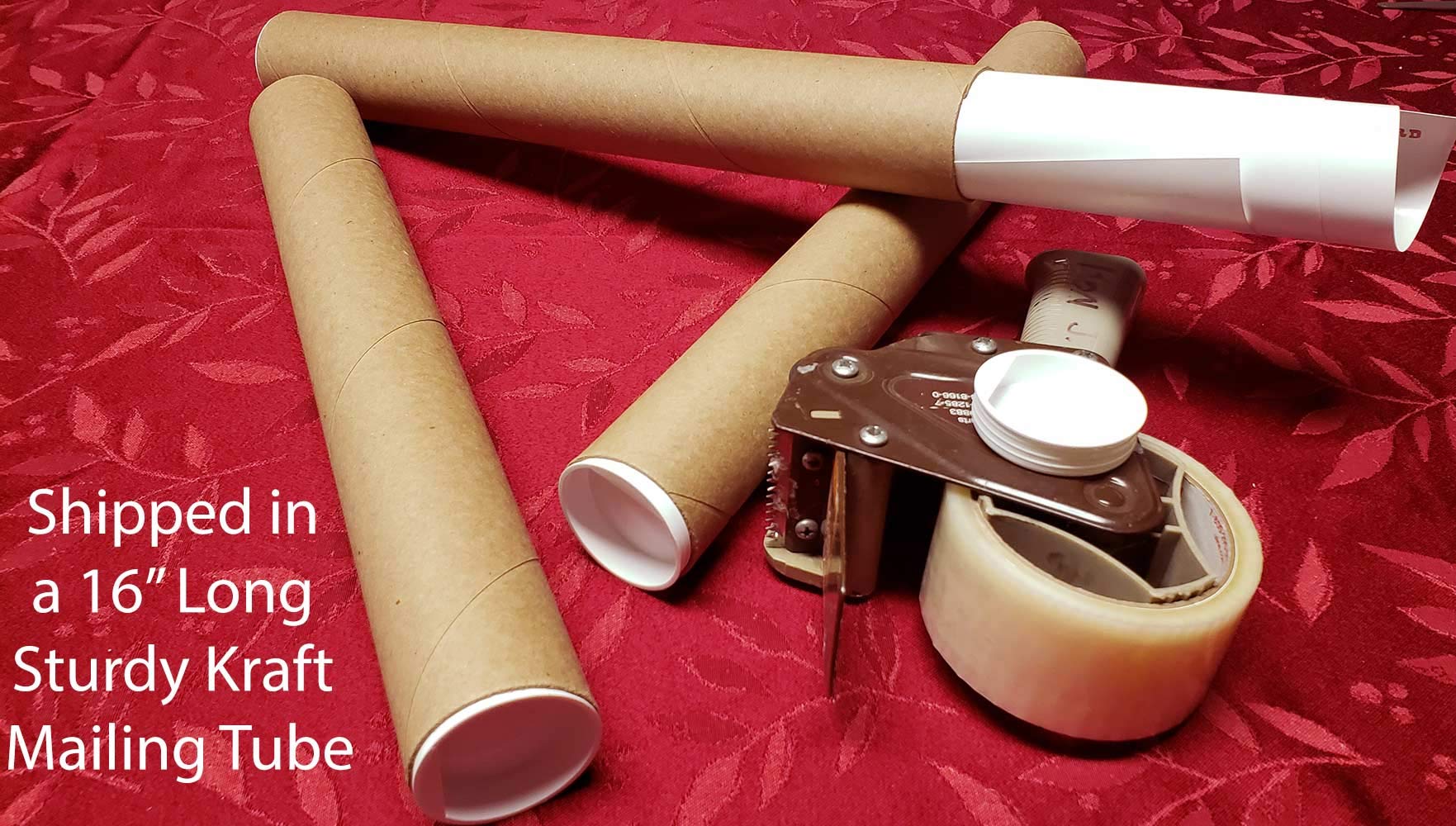 6 String Bass Fretboard Poster   Nashville Numbering System, Circle Of 5Ths, Notes Instructional Chart | A New Song Music | 11X1