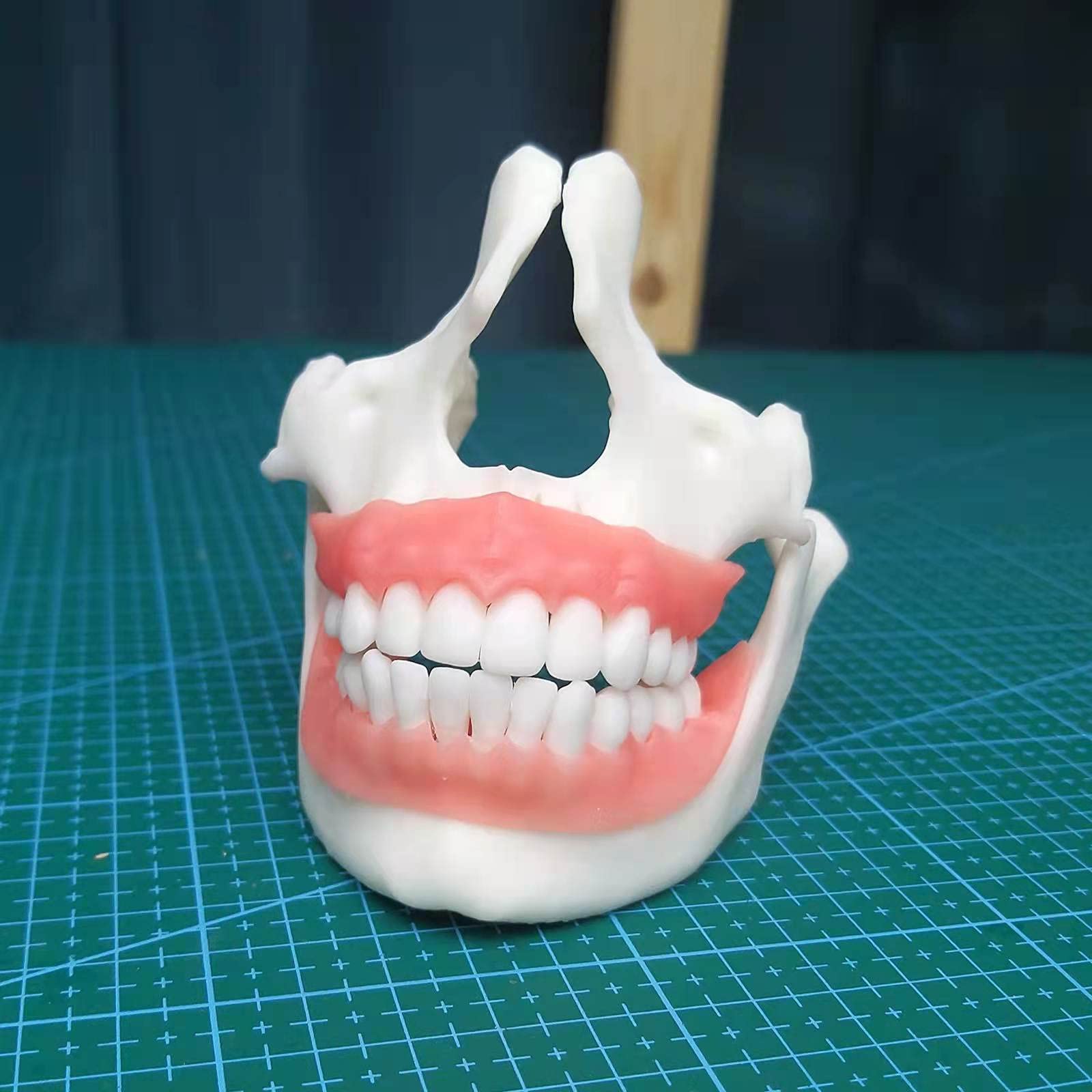 Resione 3D Printer Resin, F80 Elastic Resin 405Nm Uv Curing Resin With High Elongation At Break High Resilience Photopolymer Res