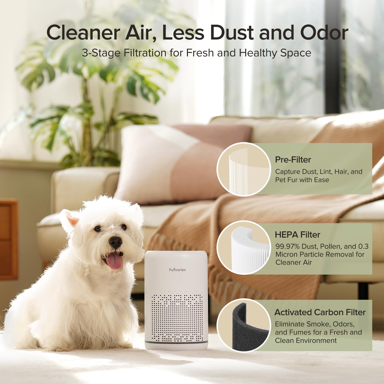 Compact Desktop Air Purifier   True Hepa Filter, Whisper Quiet Operation, Energy Efficient   Captures 99.97% Of A11Ergens, Dust,