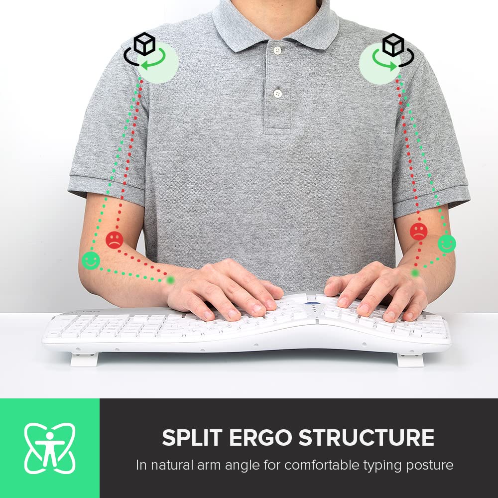 Delux Wireless Ergonomic Split Keyboard With Cushioned Palm Rest Against Carpal Tunnel, [Standard Ergo] Keyboard Series, Multi D