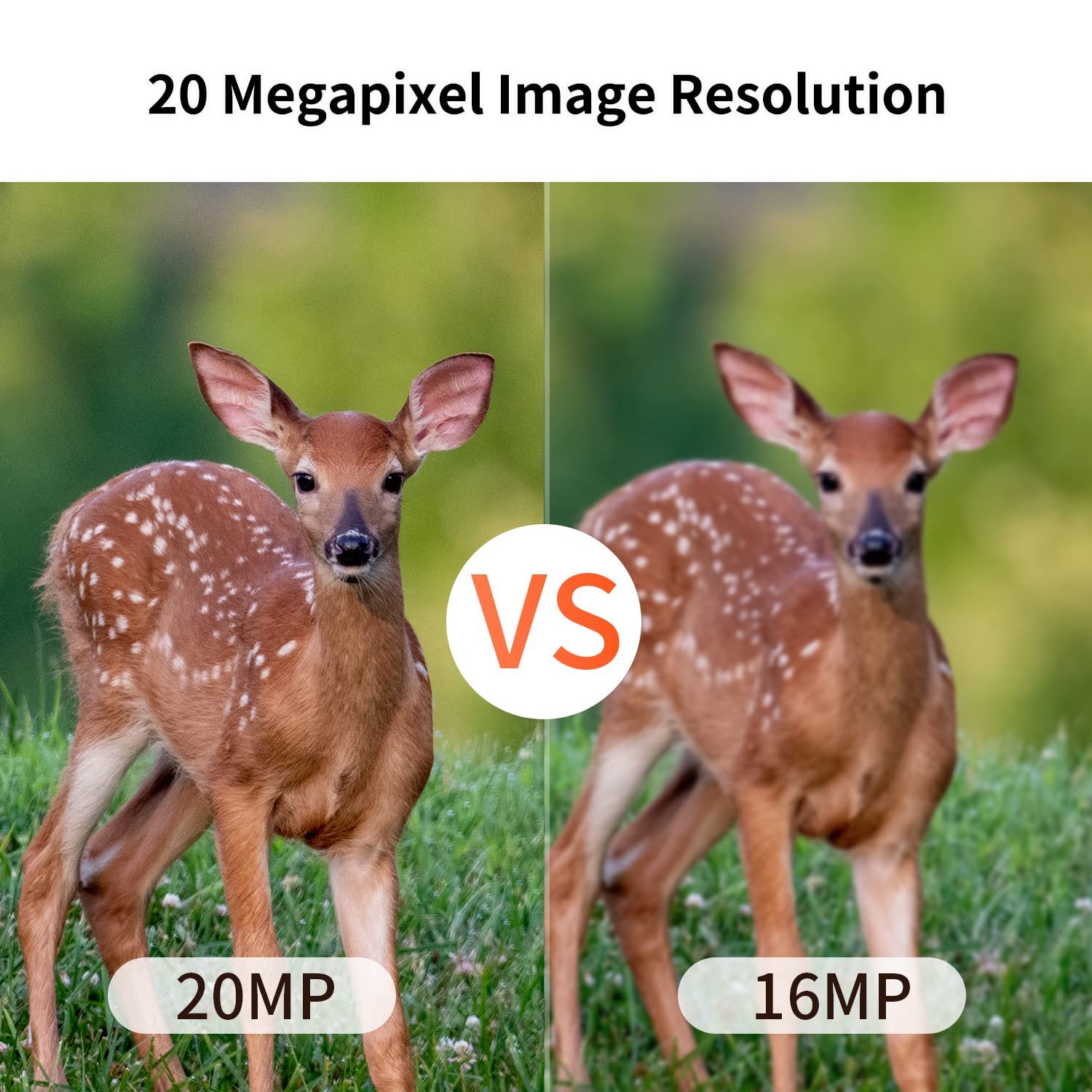 Outdoor Expert 20Mp Mini Trail Camera,1080P Hunting Trail Camera With No Glow 940Nm Night Vision Motion Activated Ip66 Waterproo