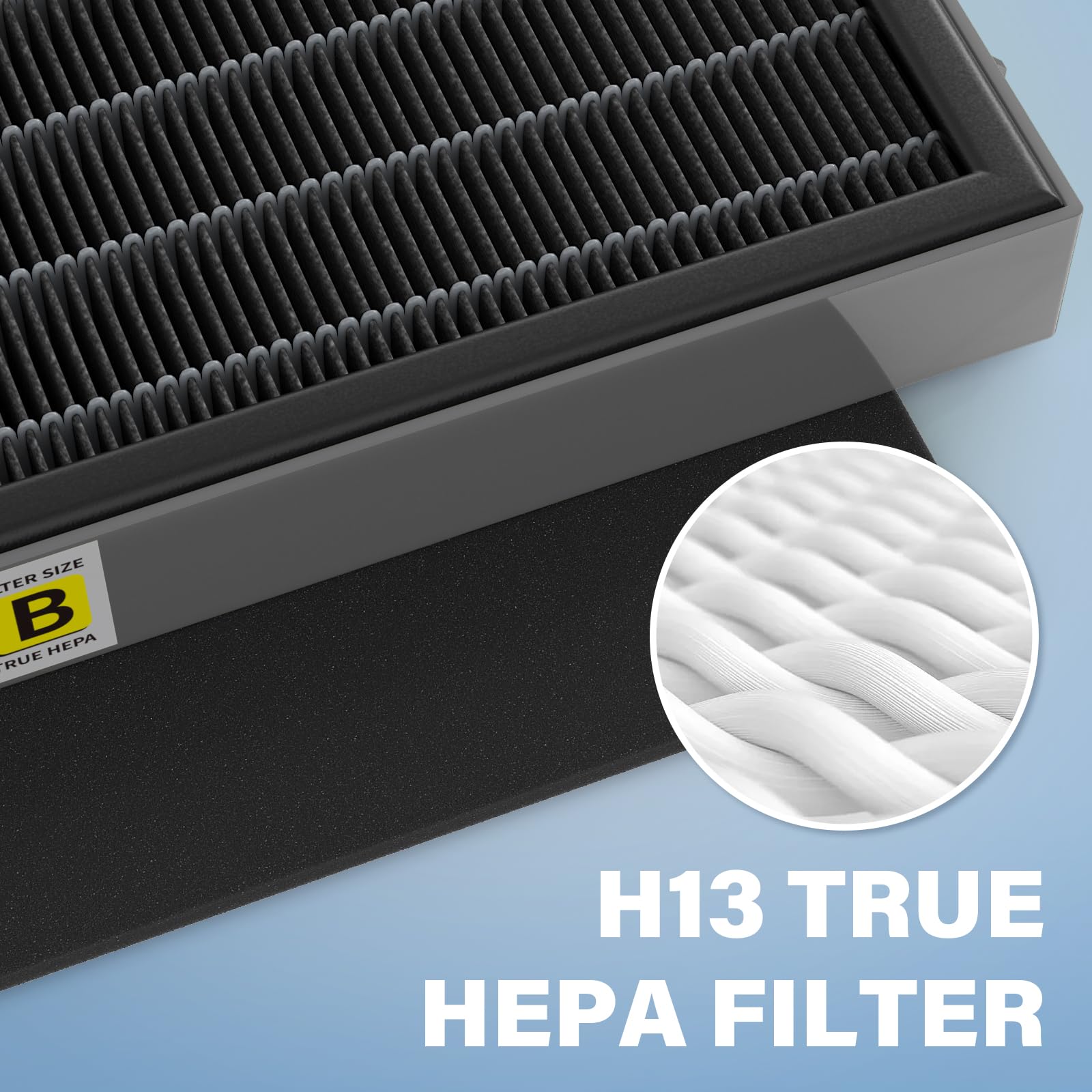 Fmdzfl Filter B Smoke Clear Hepa Replacement Compatible With Ac4825 Ac4300 Ac4800 Ac4900 Ac4850, 2 True Hepa Filters & 6 Activat