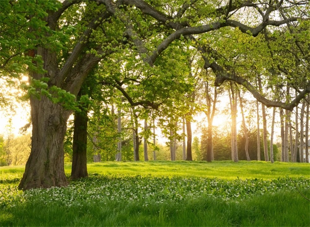 Leowefowa 7X5Ft Spring Backdrop Rural Forest Trees Backdrops For Photography Blooming Flowers Green Grassland Nature Vinyl Photo
