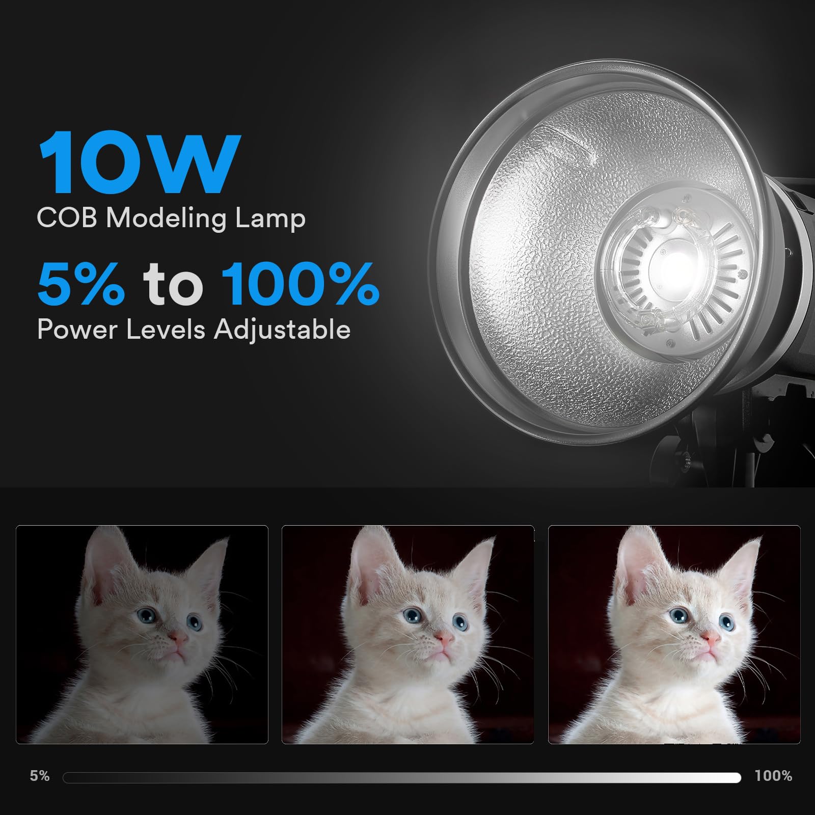 Godox Ms300V Ms300 V Compact Studio Strobe Flash Light, Portable Photography Flash 300W 110V, 2.4G X System, 10W Led Modeling La