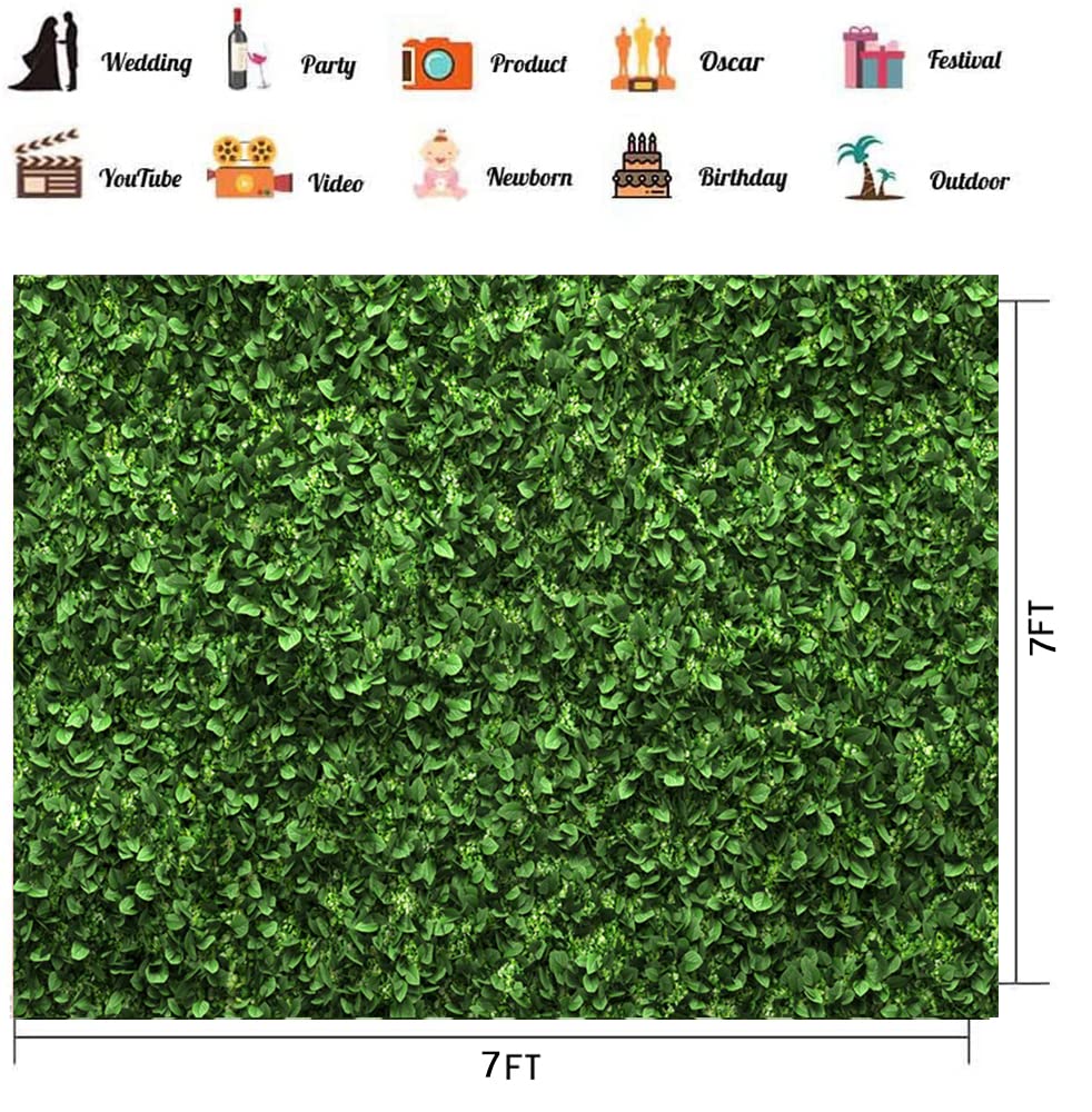 Chaiya 7X5Ft Green Leaves Backdrop Greenery Leaf Wall Background Jungle Theme Baby Shower Party Wedding Shower Party Bridal Show