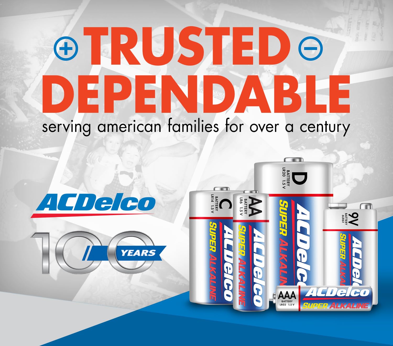 Acdelco 48 Count Aaa Batteries, Maximum Power Super Alkaline Battery, 10 Year Shelf Life, Reclosable Packaging