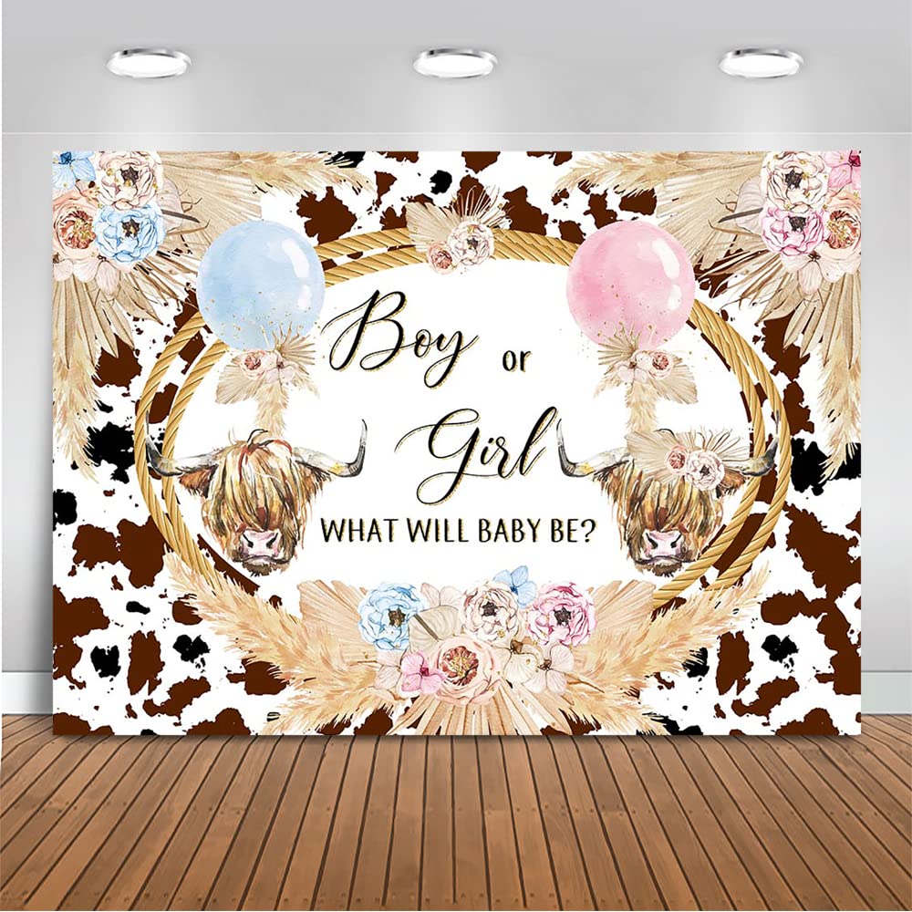 Mocsicka Highland Cow Gender Reveal Backdrop Boho Highland Cow Boy Or Girl Party Decorations Holy Cow Gender Reveal Cake Table B