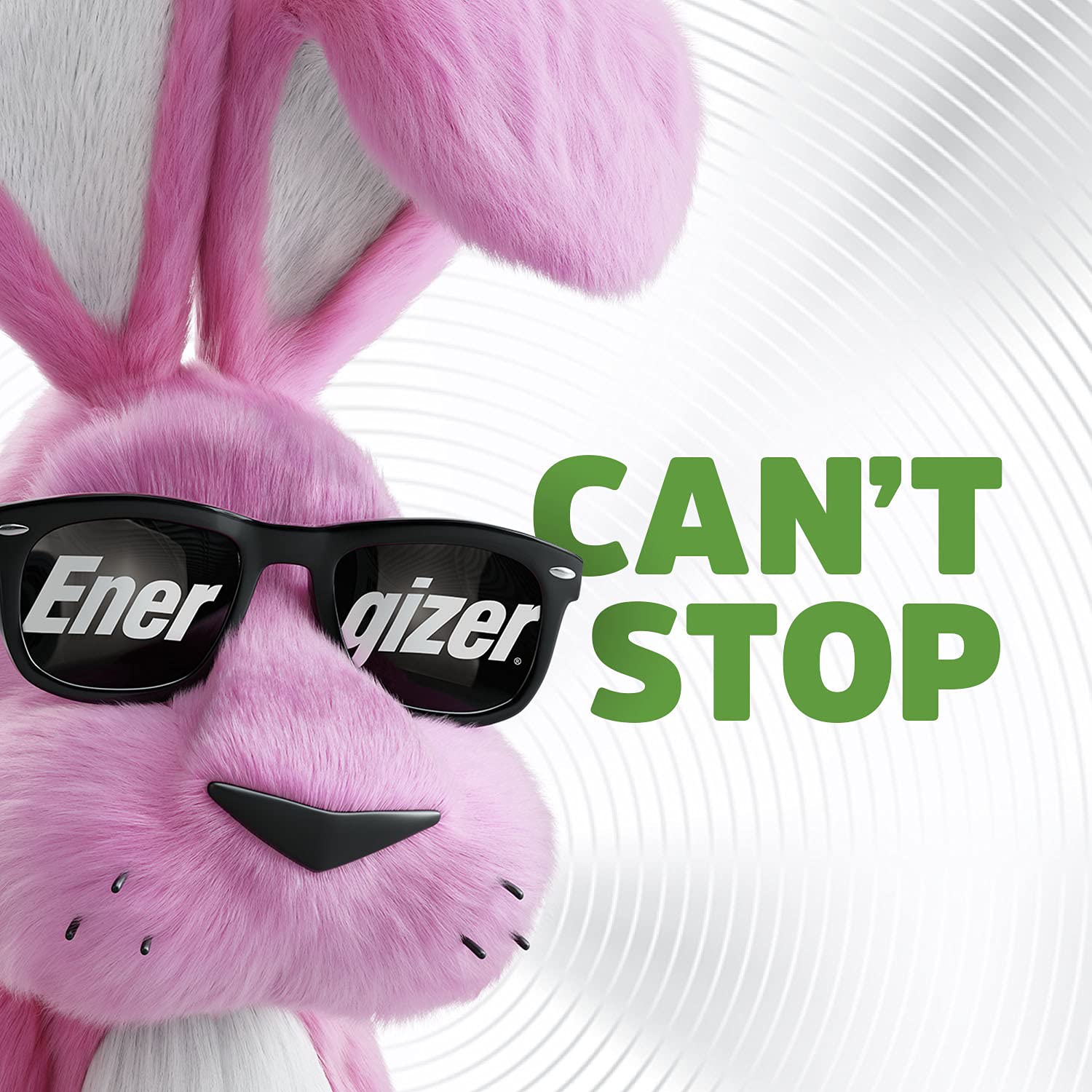 Energizer Rechargeable Aa Batteries, Recharge Power Plus Double A Battery Pre Charged, 8 Count