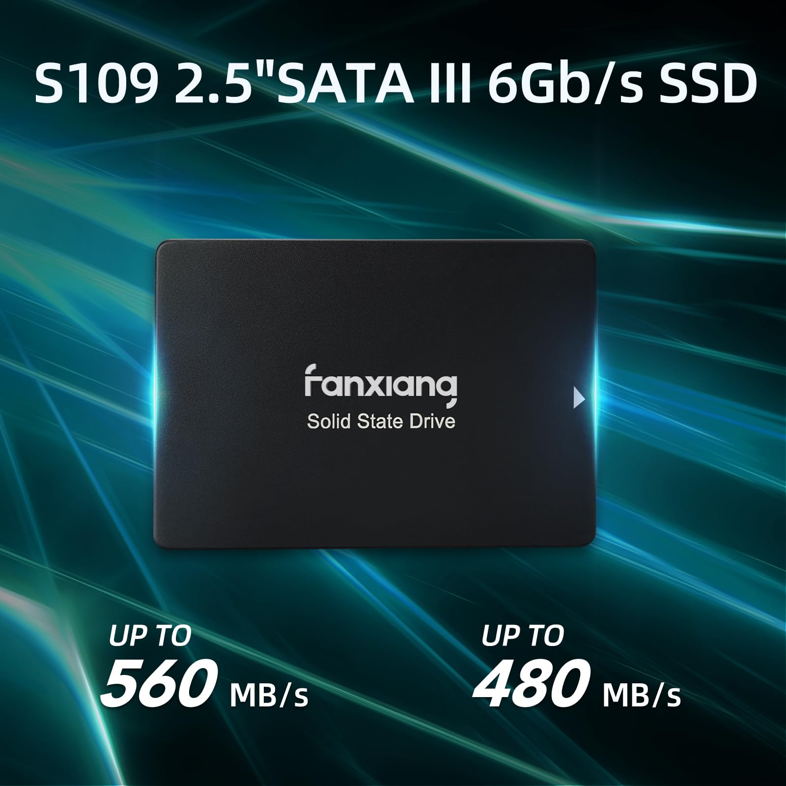 Fanxiang S109 2.5'' Sata Ssd 1Tb With Dram Cache, Up To 560Mb/S, Continuous Writing Without Slowing Down, 3D Nand Tlc, Internal