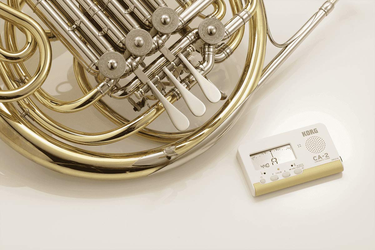 Korg Ca 2 Chromatic Tuner (Ca2)