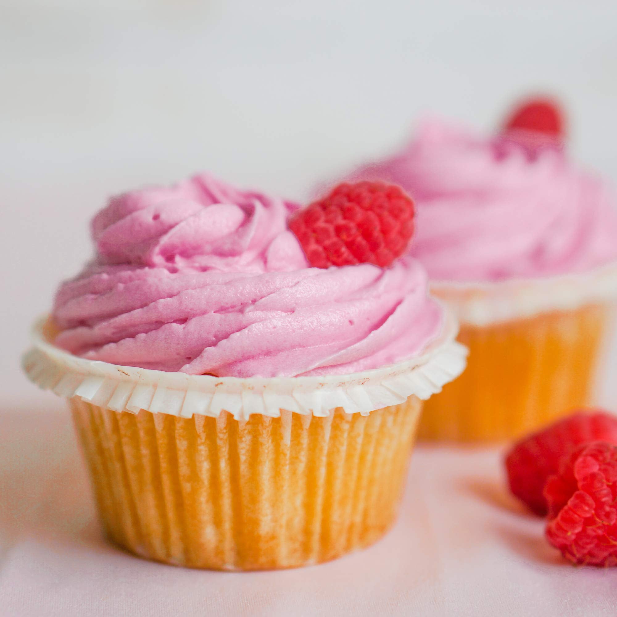 Holstein Housewares   Non Stick Full Size Cupcake Maker, Black   Makes 12 Cupcakes, Muffins, Cinnamon Buns, And More For Birthda