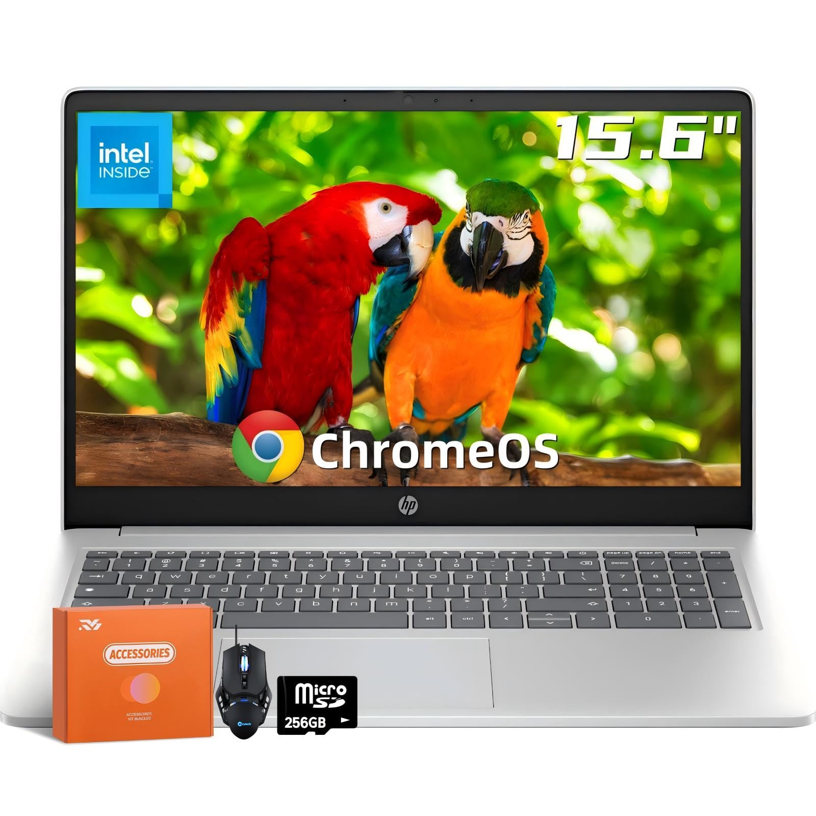 HP 15.6 Chromebook Laptop, Intel Processor N200, 8GB RAM, 320GB Storage (64GB eMMC+256GB MSD), HD Anti-Glare Display, UHD Graphi
