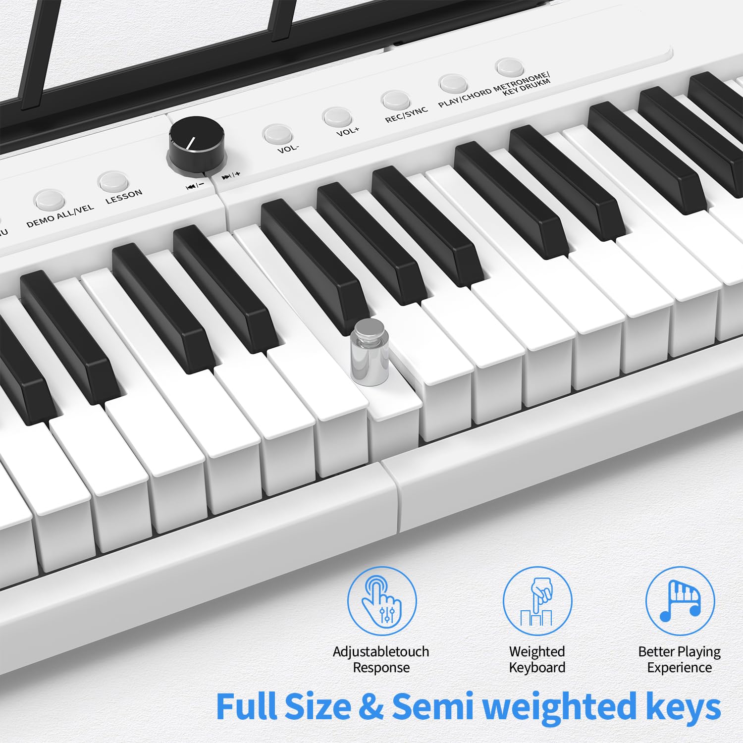 88 Key Piano Keyboard Beginner Electric Digital Piano With Sustain Pedal, Power Supply, Stand, Carrying Case,Headphones