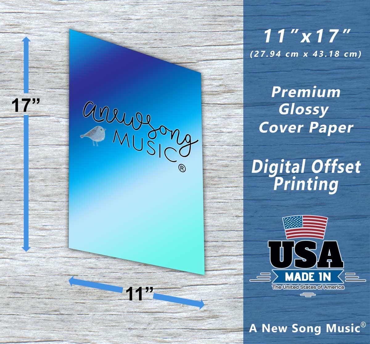 Mandolin Classic Style Easy Chord & Fretboard Note Chart Instructional Poster For Beginners Chords & Notes A New Song Music 11''