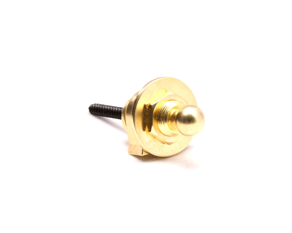 Prorockgear Strap Locks   Satin Gold