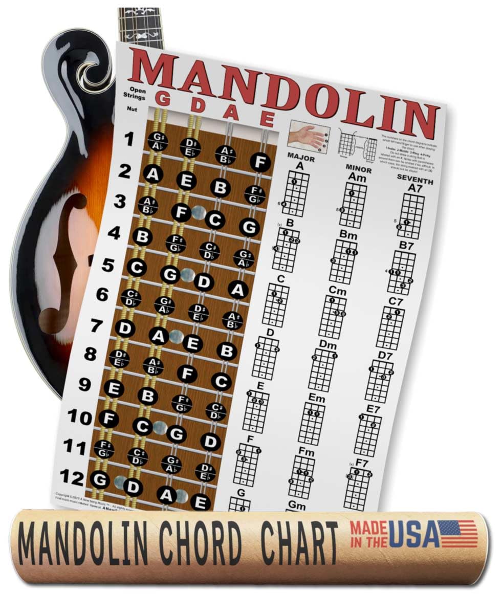 Mandolin Classic Style Easy Chord & Fretboard Note Chart Instructional Poster for Beginners Chords & Notes A New Song Music 11x1