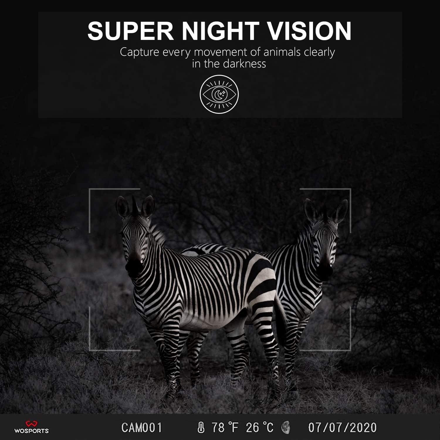 Wosports Mini Trail Camera,24Mp 1080P Hd Game Hunting Camera Motion Activated With Ir Night Vision Waterproof Video Cam For Wild