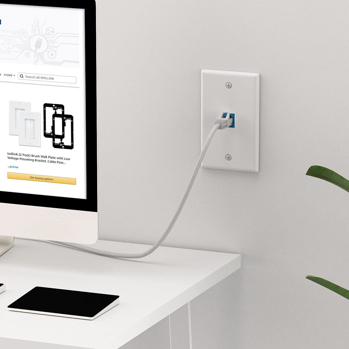 Iwillink (4 Pack) 1 Port Ethernet Wall Plate, Keystone Jack Wall Plate With Rj45 Keystone Inline Coupler Insert, Female To Femal