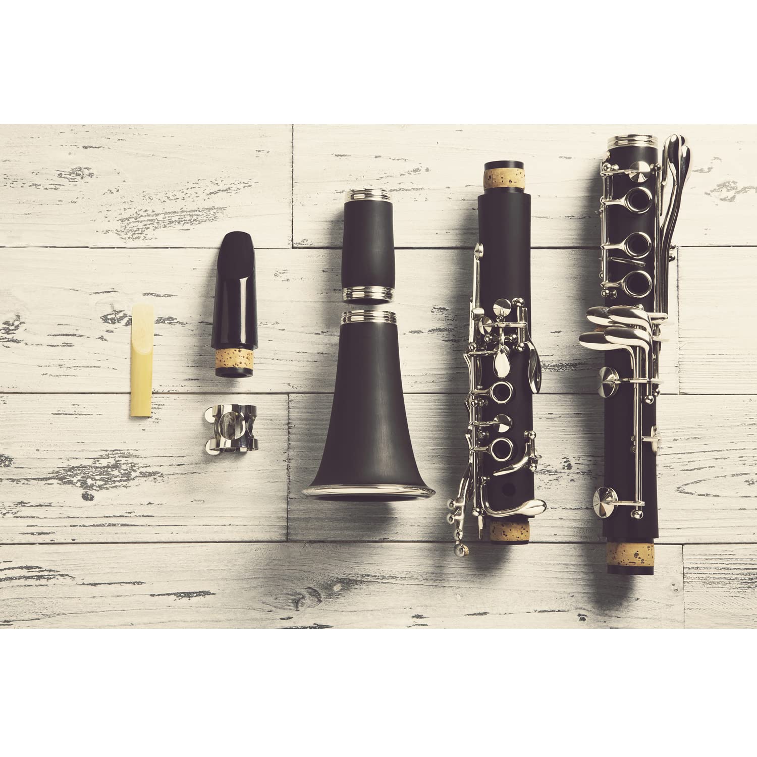 Suewio Bb Clarinet Traditional Reeds, Strength 2.5, 10 Pack With Portable Case