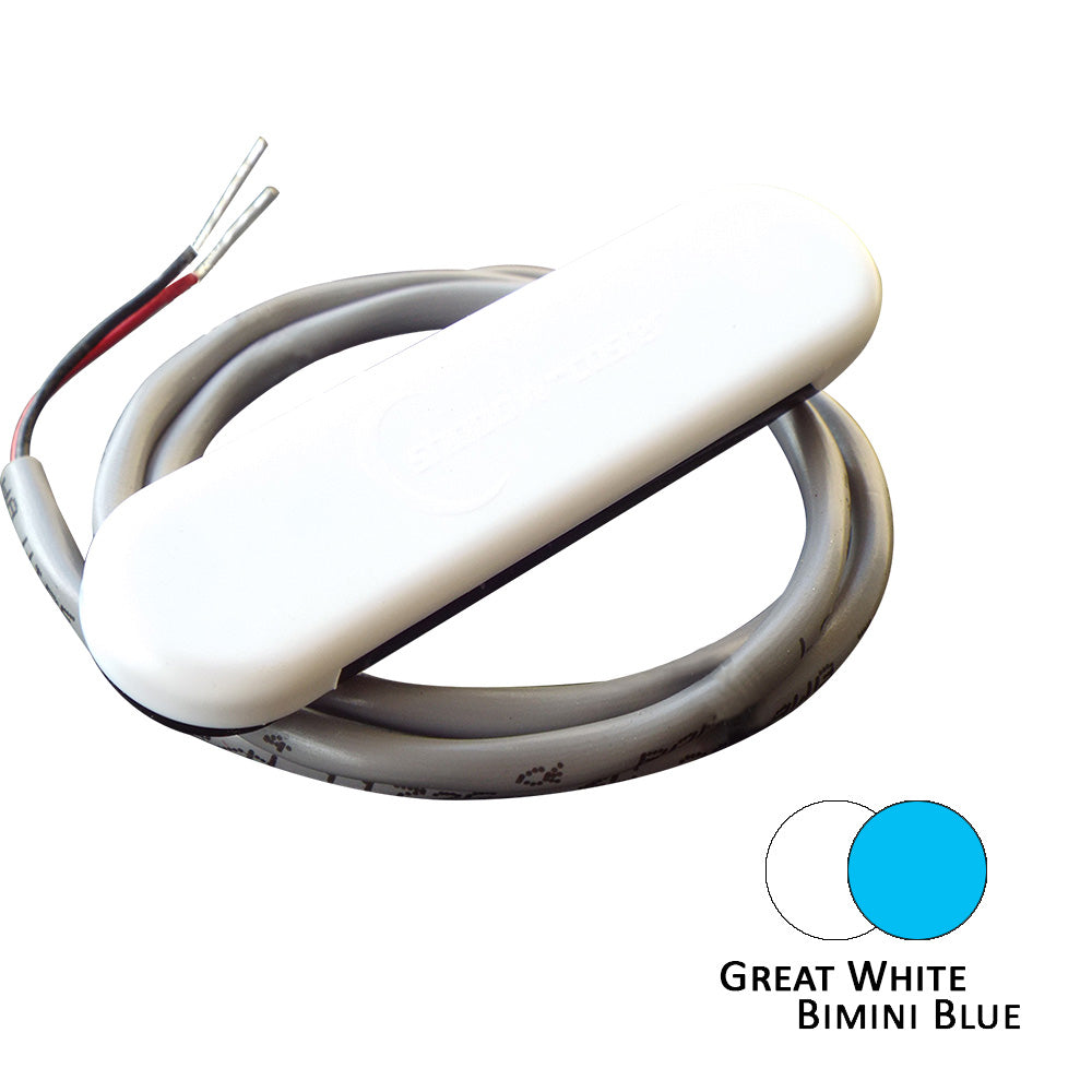Shadow-Caster Dual Color Courtesy Light W/2&#39; Lead Wire - White Abs Cover - Great White/Bimini Blue,WBHOMB0CNKRKK64