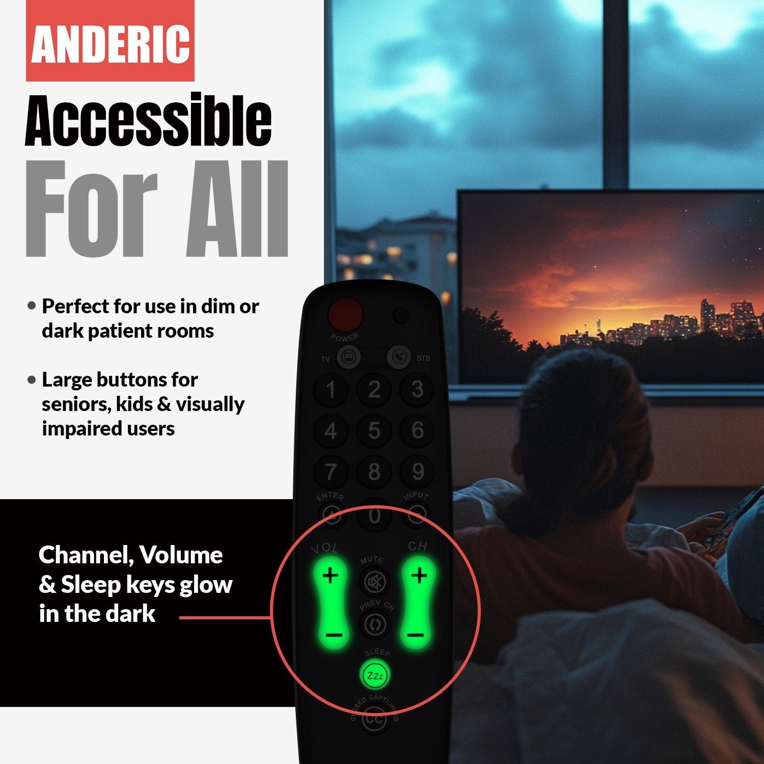 Anderic Substitute for RCA STB7766C REMOTE Digital TV Tuner Converter Remote Control [RRH100]