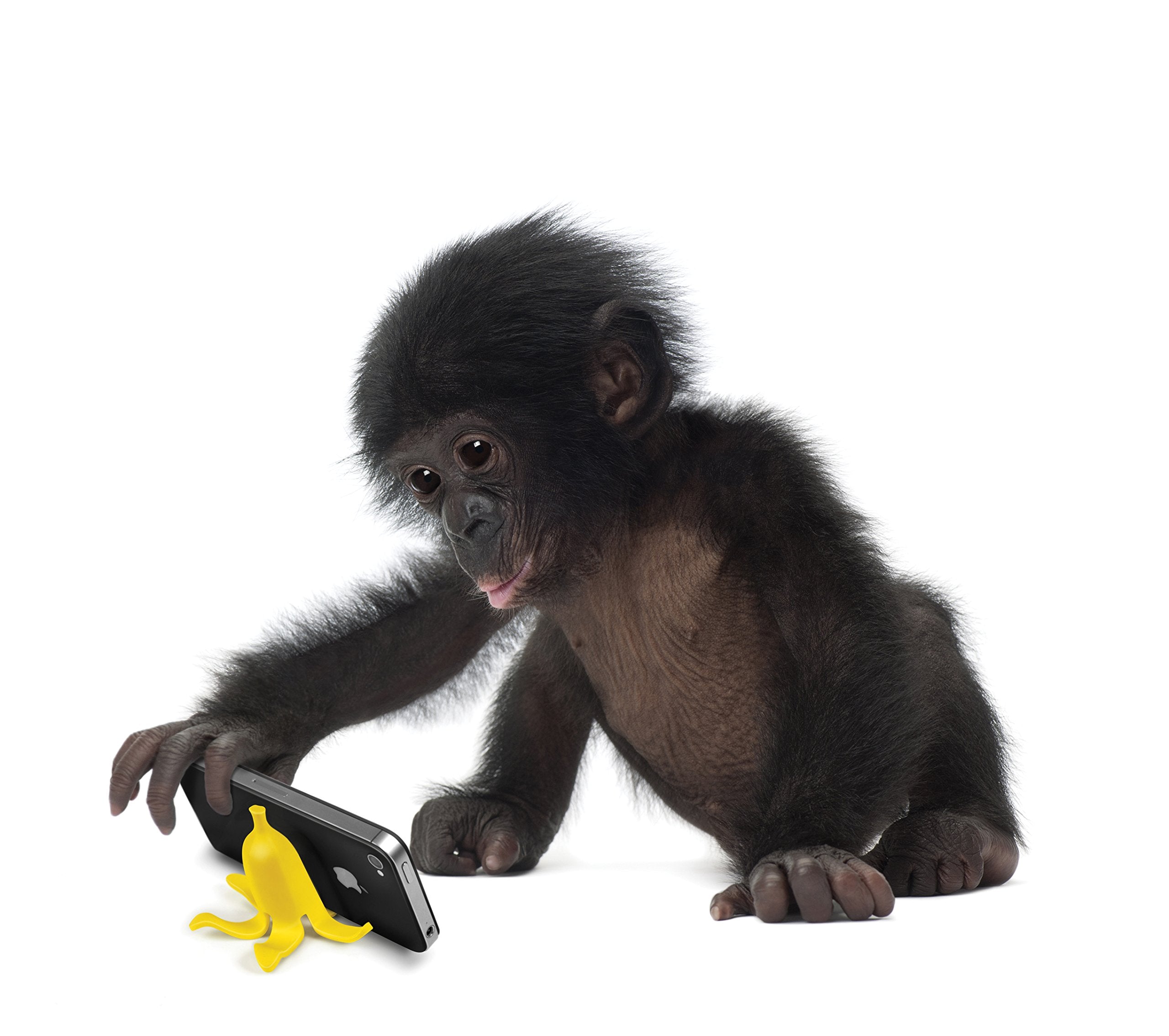 Genuine Fred Fred Banana Stand Phone Stand, Basta