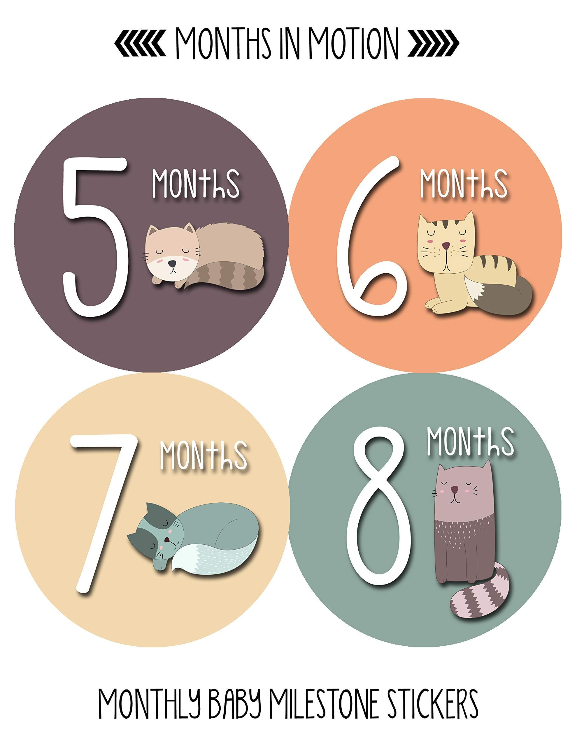 Months In Motion Baby Monthly Stickers   Baby Milestone Stickers   Newborn Girl Stickers   Month Stickers For Baby Girl   Baby G