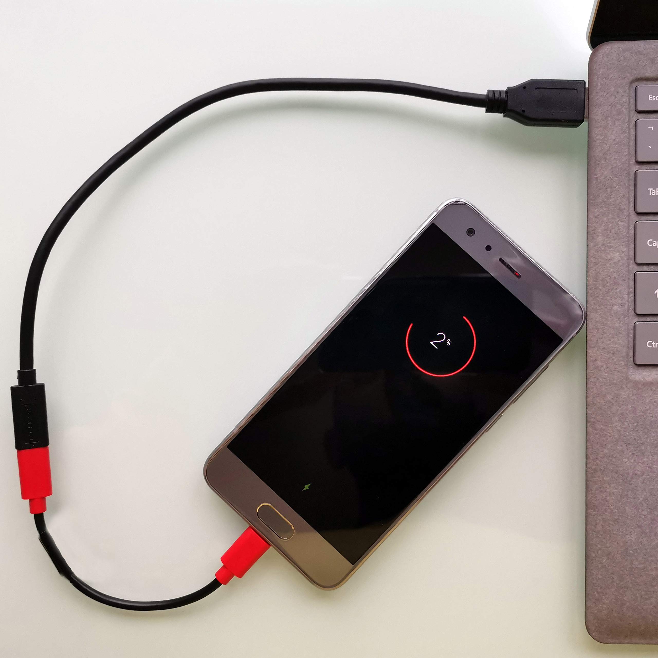 Portapow Usb C Data Blocker (Twin Pack)