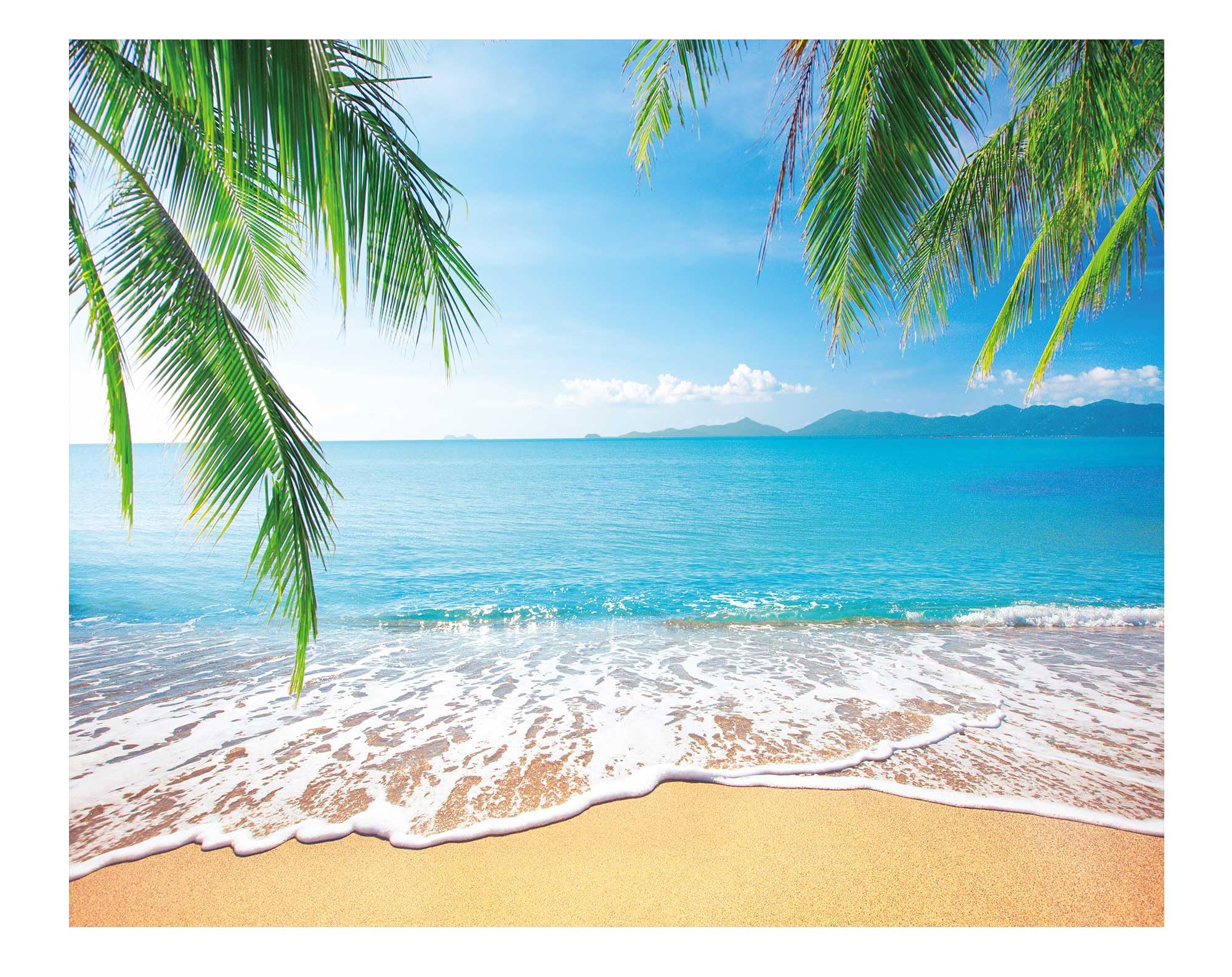 Allenjoy 10X8Ft Tropical Summer Backdrop Beach Palm Leaves Photography Background For Wedding Happy Birthday Baby Shower Decorat