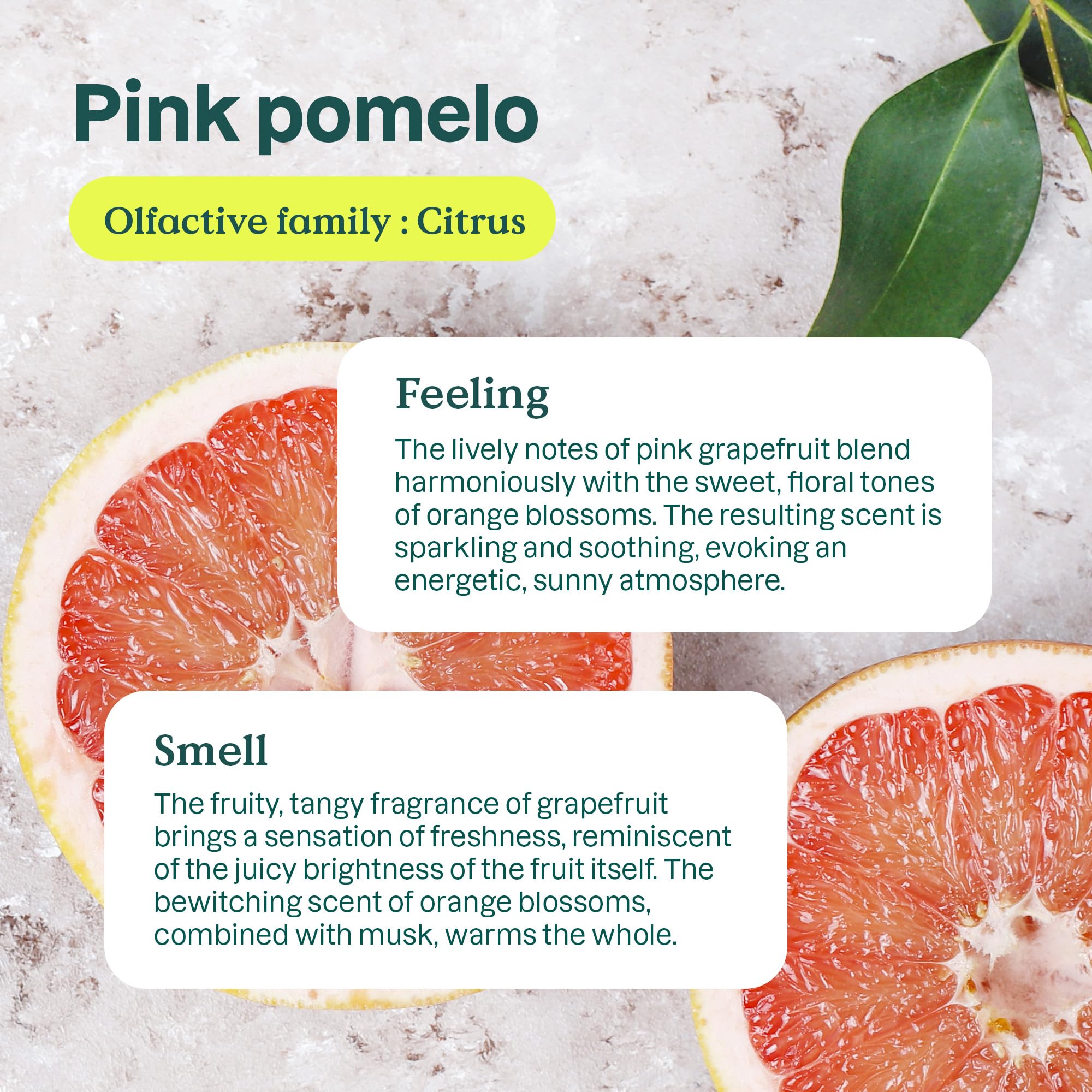 Attitude Air Purifier, Activated Carbon Freshener, Odor Remover, Plant And Mineral Based, Vegan, Pink Grapefruit, 8 Ounces (Pack