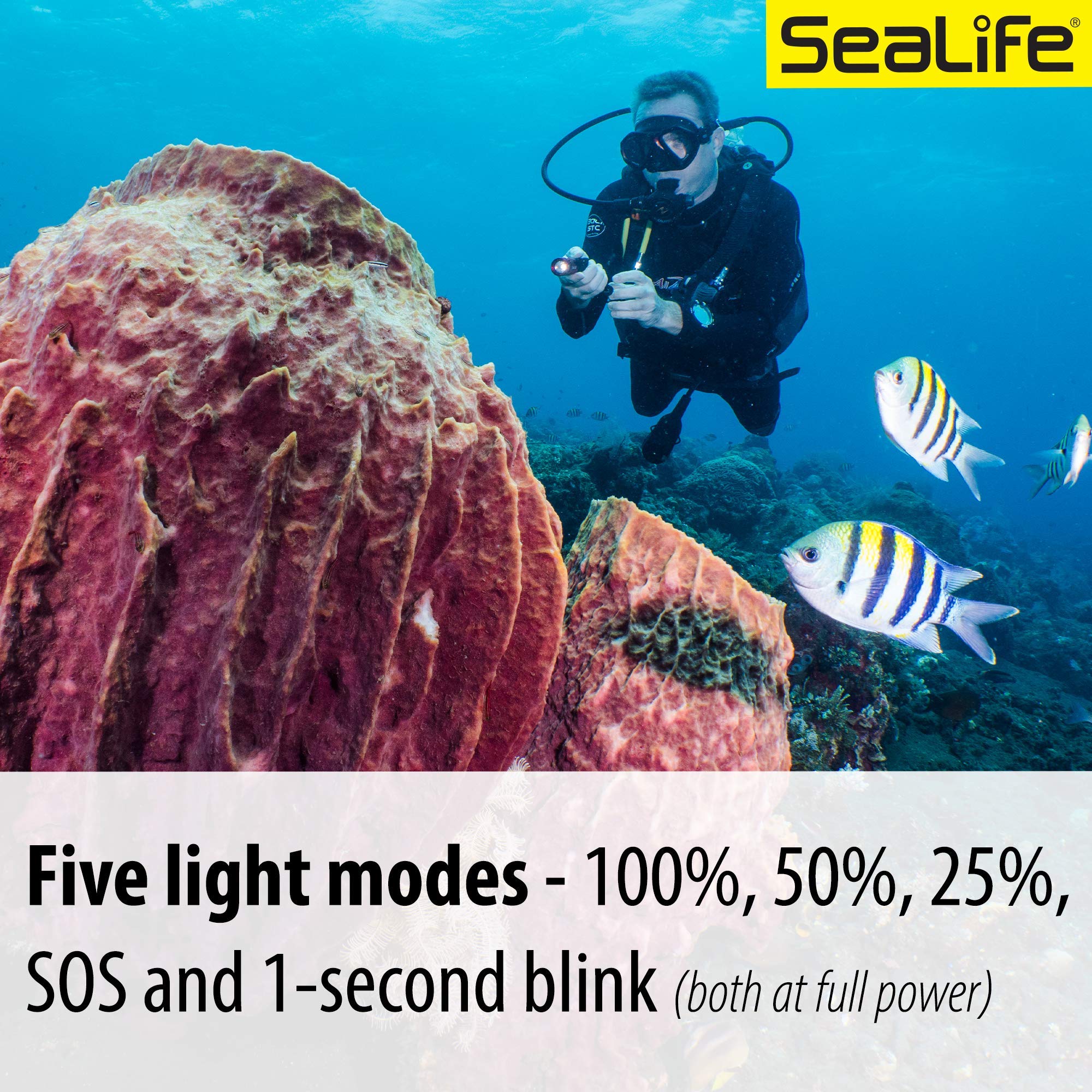 Sealife Sea Dragon Mini 900S Compact Led Dive Light (Sl653)
