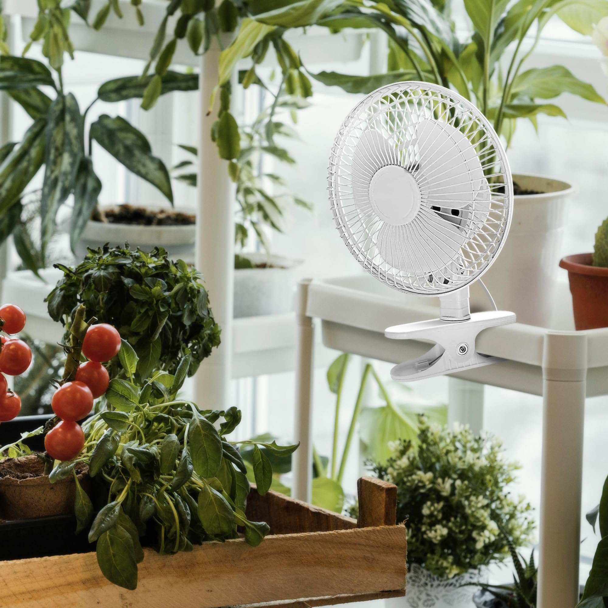 Joey'Z 6 Inch   2 Speed   Adjustable Tilt, Whisper Quiet Operation Clip On Fan With 5.5 Foot Cord And Steel Safety Grill (1, 6''